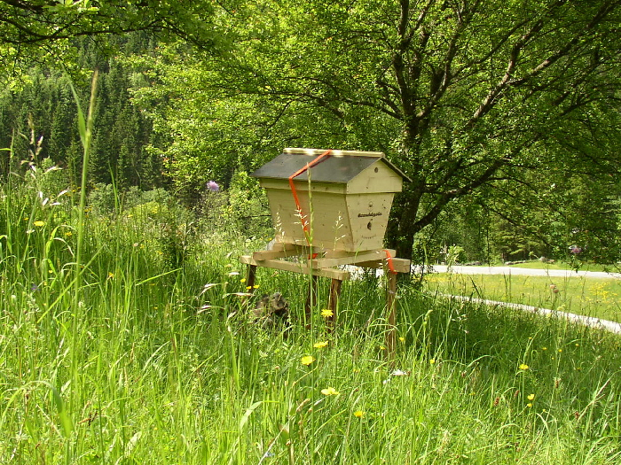 tl_files/bienenschutzgarten/userdata/fotos_website/Bienenwiege/Bienenwiege Goestling.jpg