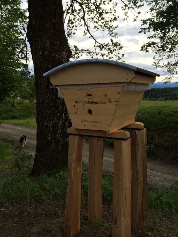 tl_files/bienenschutzgarten/userdata/fotos_website/Bienenwiege/Bienenwiege Steiermark.JPG