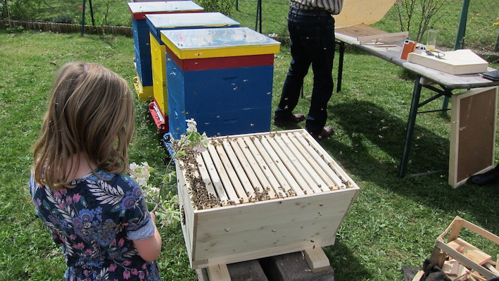 tl_files/bienenschutzgarten/userdata/fotos_website/Bienenwiege/Bienenwiege Unterkaernten.JPG